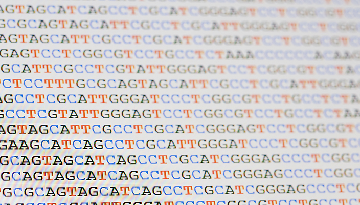 Una imagen en primer plano muestra códigos de letras de una prueba de ADN.
